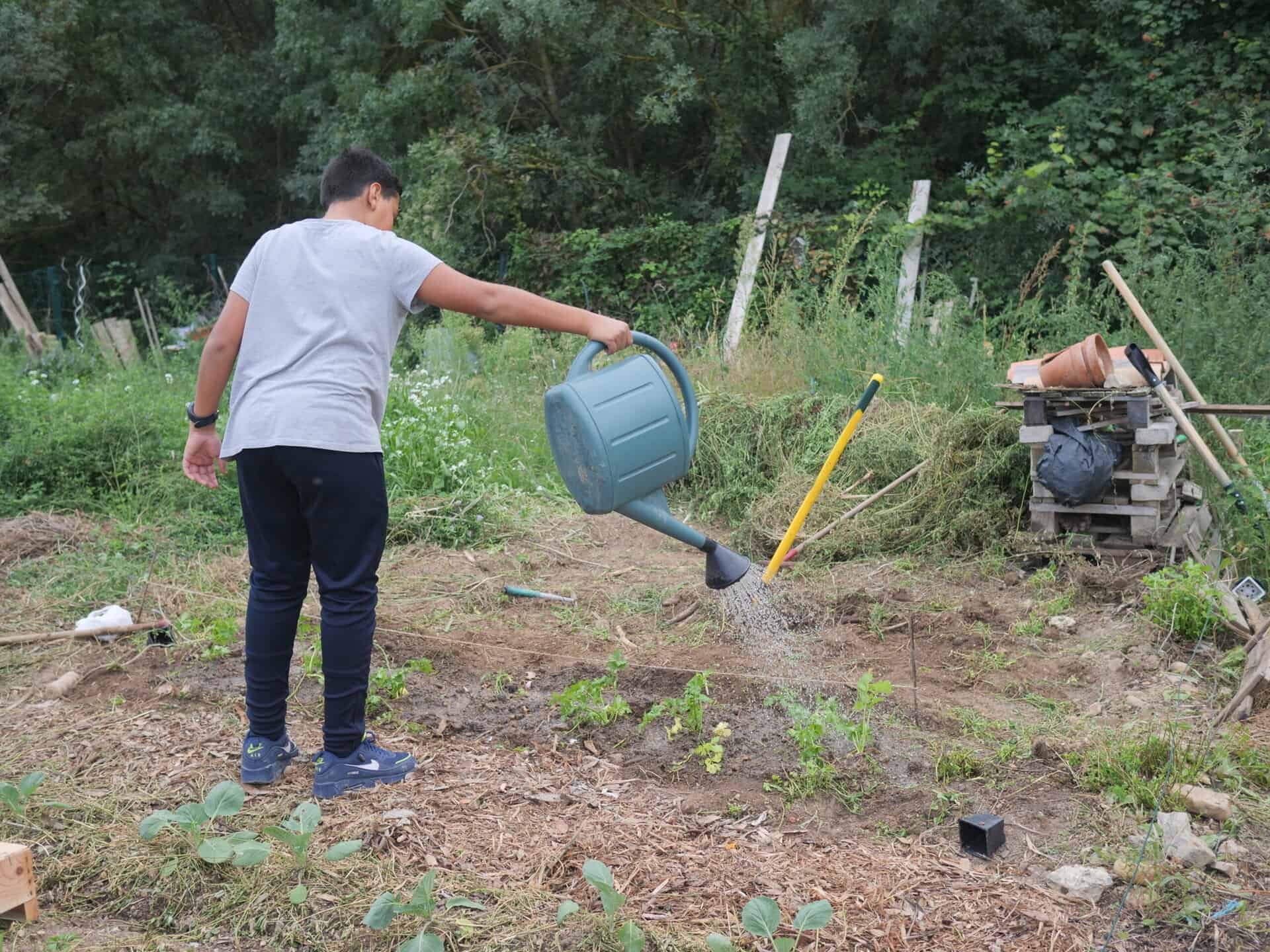 Un jeune jardinier arrose une parcelle des Jardins partagés de Juvignac