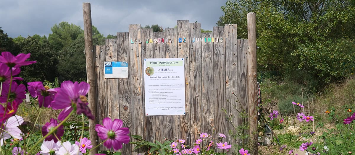 Vue des jardins partagés de Juvignac en fleurs