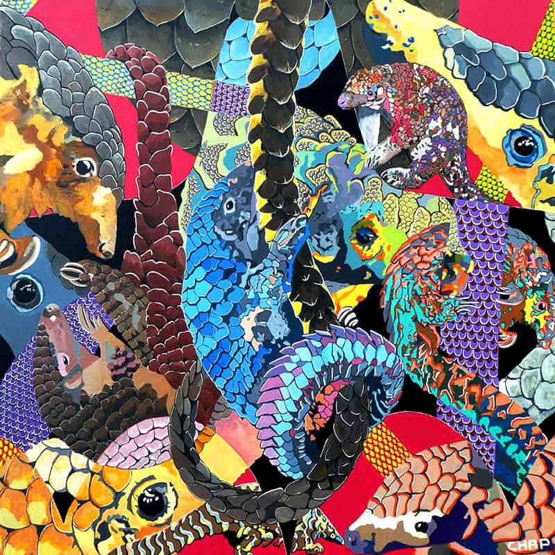 © Christophe Heymann