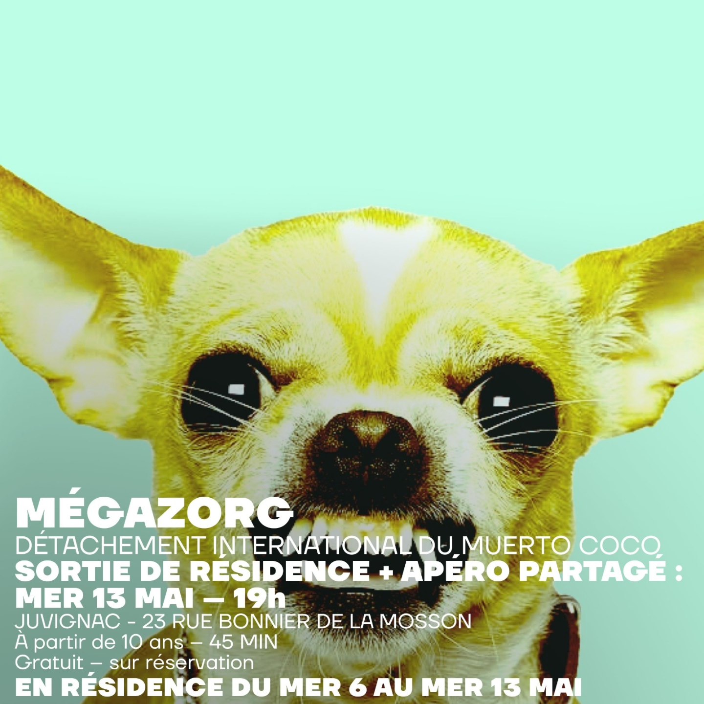© Détachement International du Muerto Coco