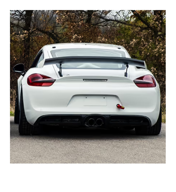 White Porsche GT4R sports car with rear spoiler and dual exhausts.