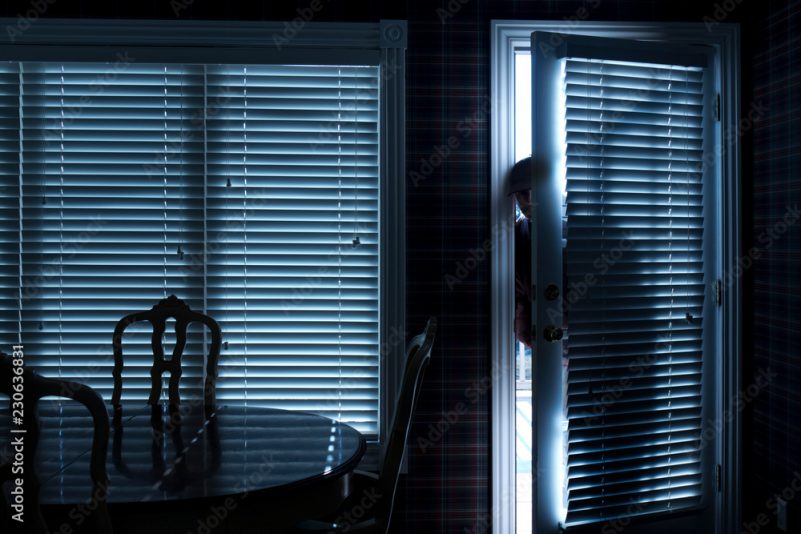 This photo illustrates a home break in at night through a back door from inside the residence.
