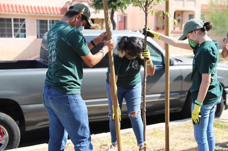 In November 2023, KYCC plants street trees along roads in Koreatown, Los Angeles, where green space is limited. The organization planned to carry out a tree-planting project from this year through 2027 under a contract with the U.S. Department of Agriculture. However, the promised federal funding was suddenly canceled. [Courtesy of KYCC]