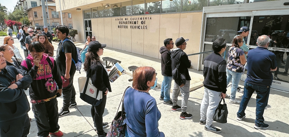 People line up at DMV Hollywood office for Real ID application options