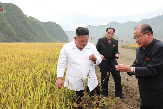 North Korean leader Kim Jong-un inspects rice grains during a visit to a flood recovery site in Kimhwa County, Kangwon Province, in October 2021. [YONHAP]