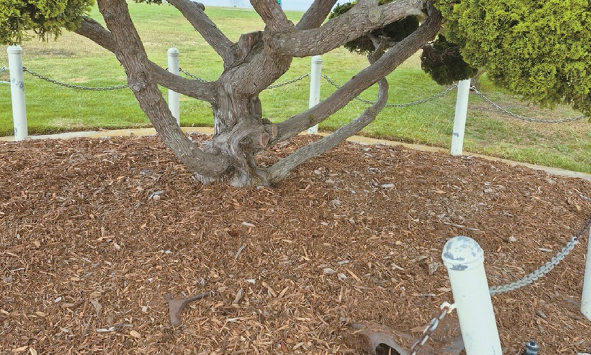Cleared site near Korean Bell of Friendship after Korean American monument removal