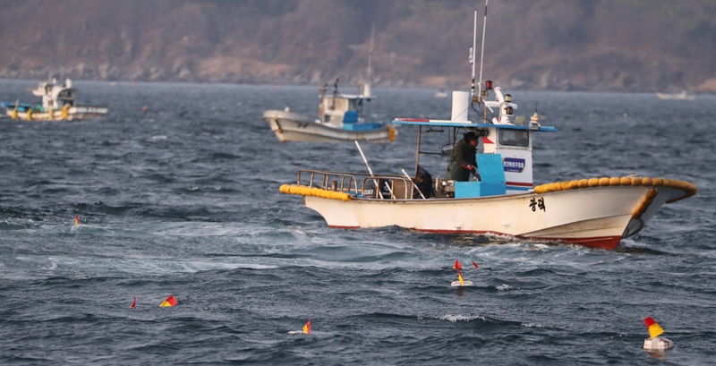 Fishers work in the waters off Jeo Island, the northernmost fishing ground in the East Sea on April 17. [YONHAP]