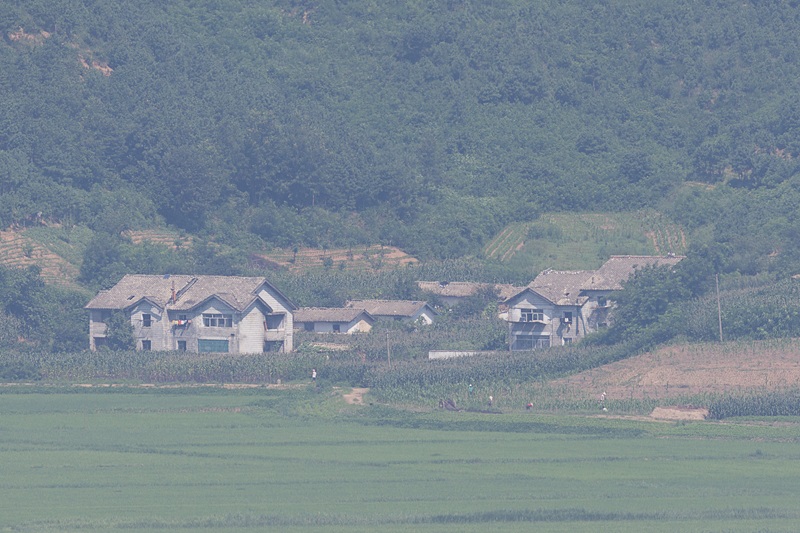 North Korean residents are seen working on their farms, as observed from South Korea's city of Paju, Gyeonggi, on July 29. [YONHAP]