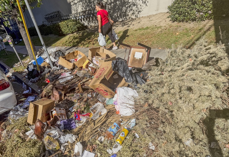 Household trash, including discarded Christmas trees, is dumped along a roadside near New Hampshire Avenue and James M. Wood Boulevard. [Sangjin Kim, The Korea Daily]