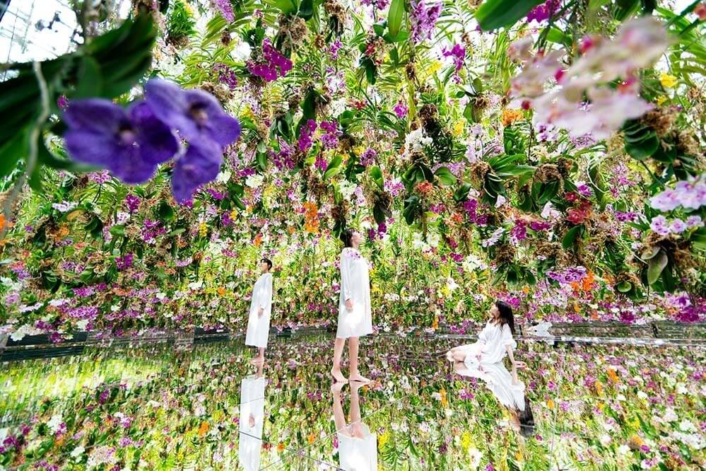 Floating flower installation at teamLab Planets Toyosu in the Tokyo Family Itinerary