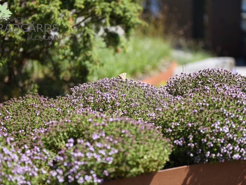 Trädgårdsdesign i Billdal