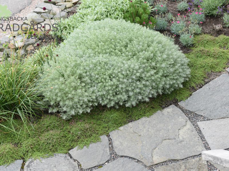 Trädgårdsdesign i Vallda