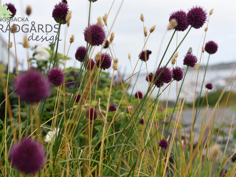 Trädgårdsdesign i Vallda