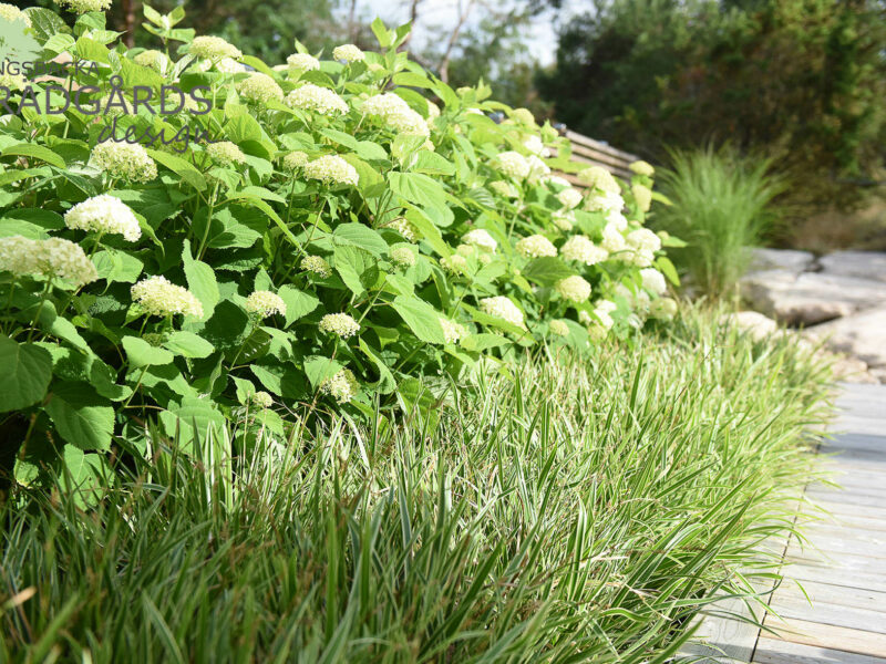 Trädgårdsdesign Västra Frölunda