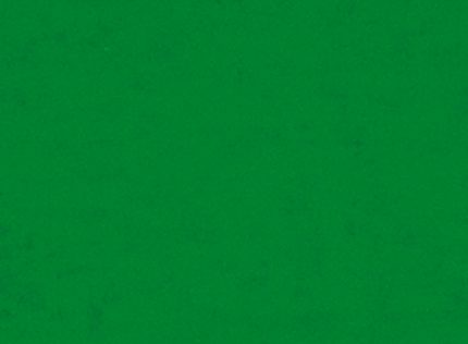 Wachsplatten hellgrün  200 x 100 x 0,5 mm 2 Stk.