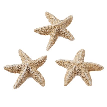 Seestern ca. 2 cm, natur, Btl. à 4 St.