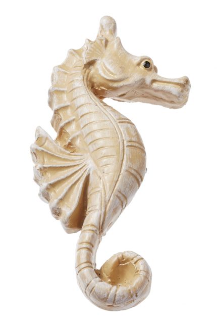 Seepferdchen ca. 5 cm, natur, mit Klebepunkt, Btl. à 2 St.