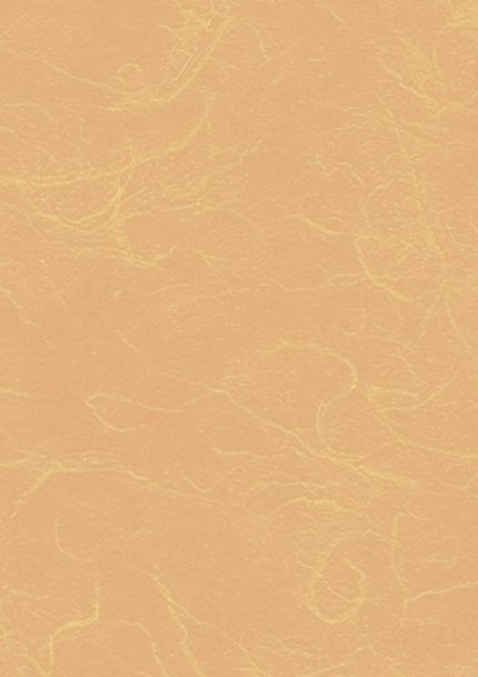 Strohseide (50x70) - Mango