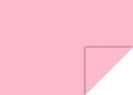 Fotokarton (50x70) - Rosa
