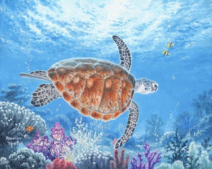 Malen nach Zahlen 40x50cm Schildkröte