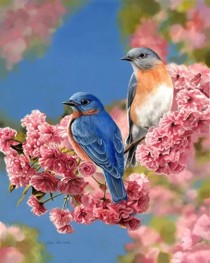Malen nach Zahlen 40x50cm Blaues Vogelpärchen