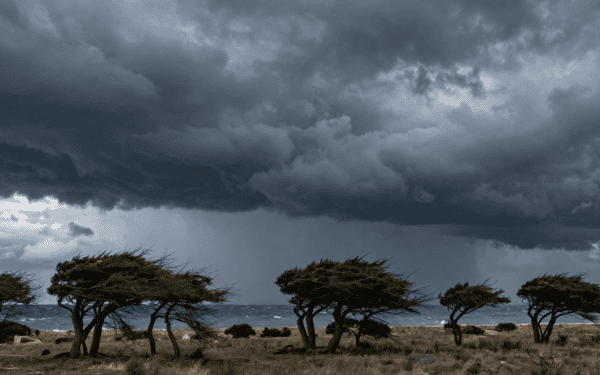 Tempête Thérèse en France : ce mercredi 18 mars, le vent s’emballe dans le Sud