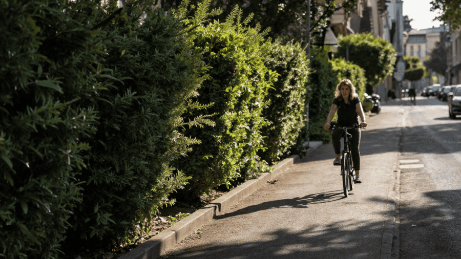 Canicule : les haies, nouvelle arme anti-chaleur des villes françaises ?