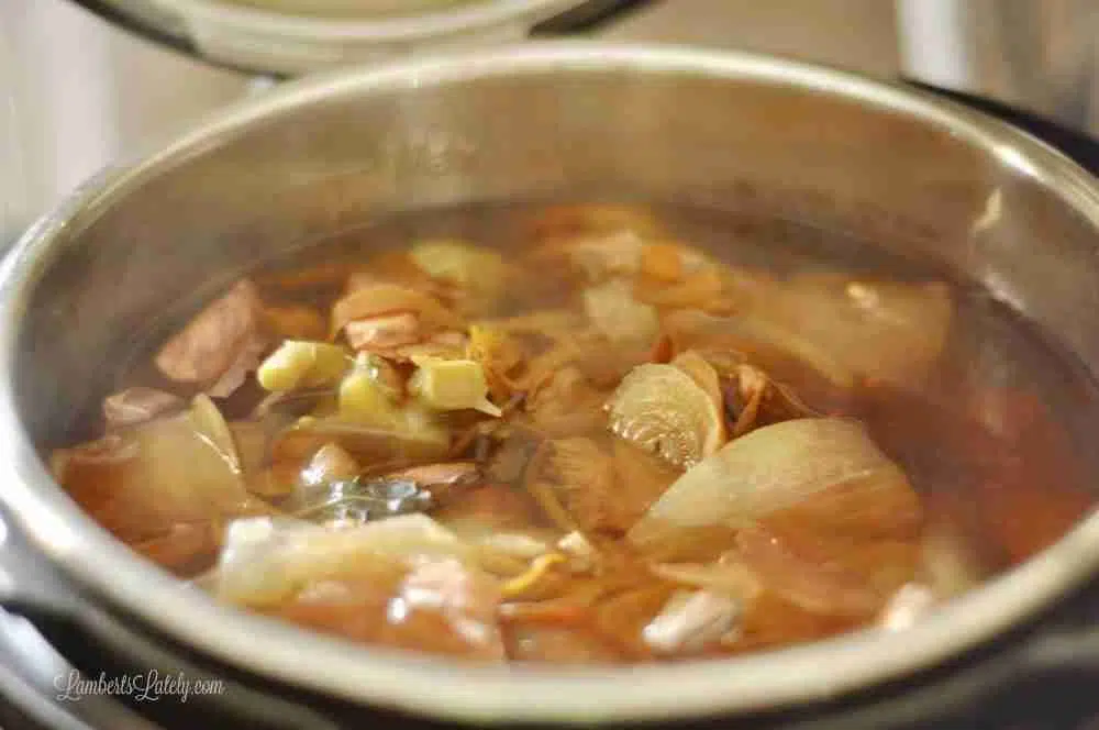 Instant Pot Vegetable Broth (for under 10 cents!)