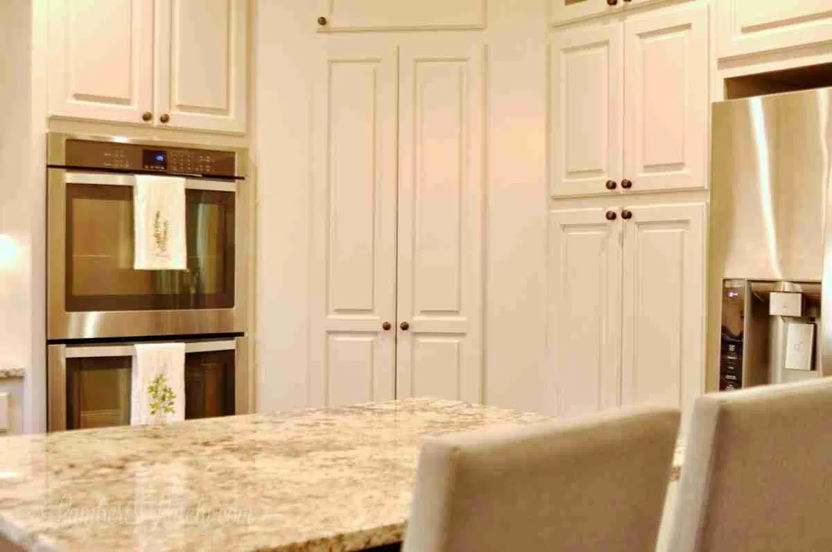 closed pantry door hidden in cabinets.