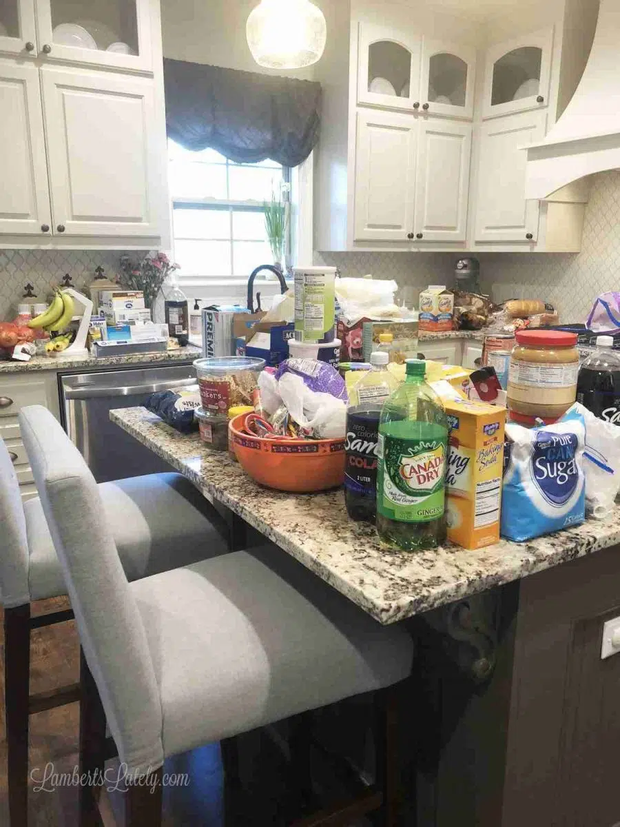 food on a kitchen island.
