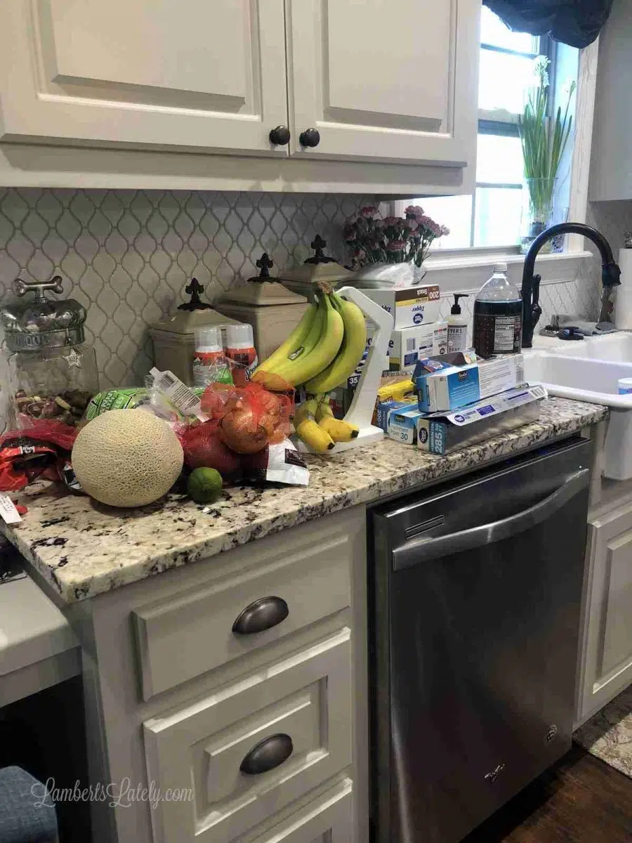 food on a kitchen counter.