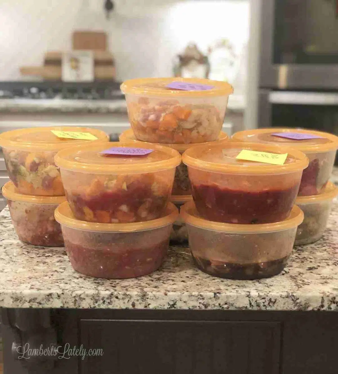 The Clean(er), Health(ier) Instant Pot FMBC