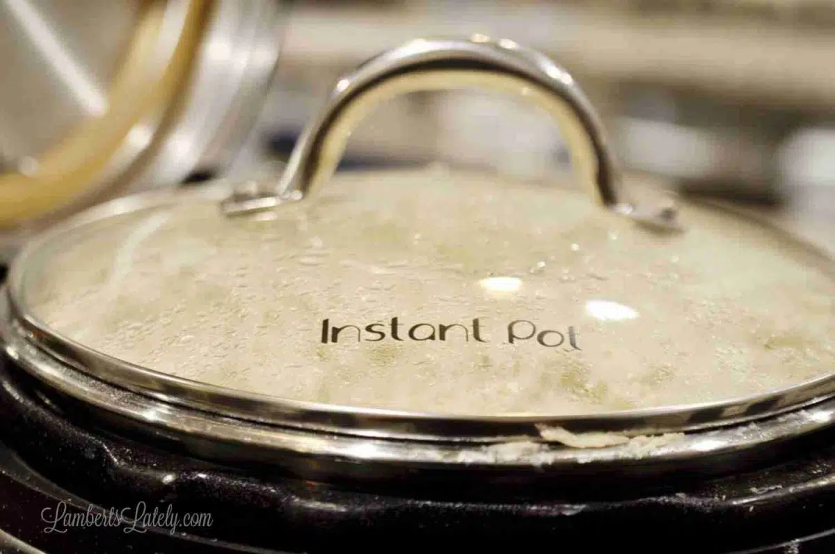 Instant Pot glass lid.
