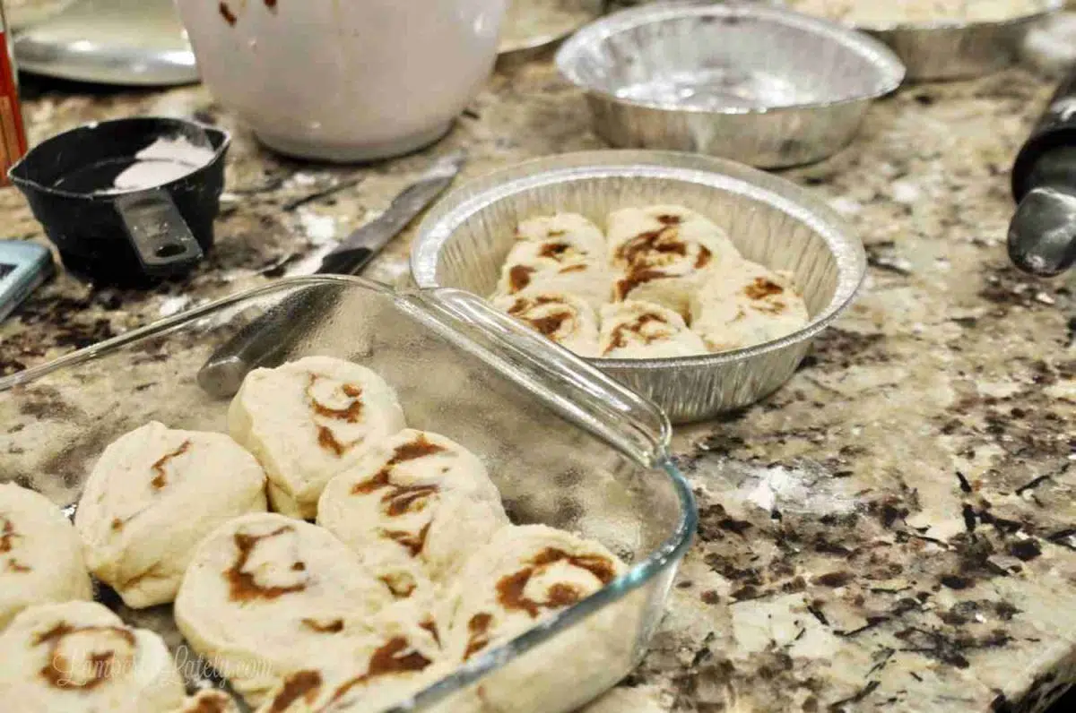 cut cinnamon rolls in baking dishes.
