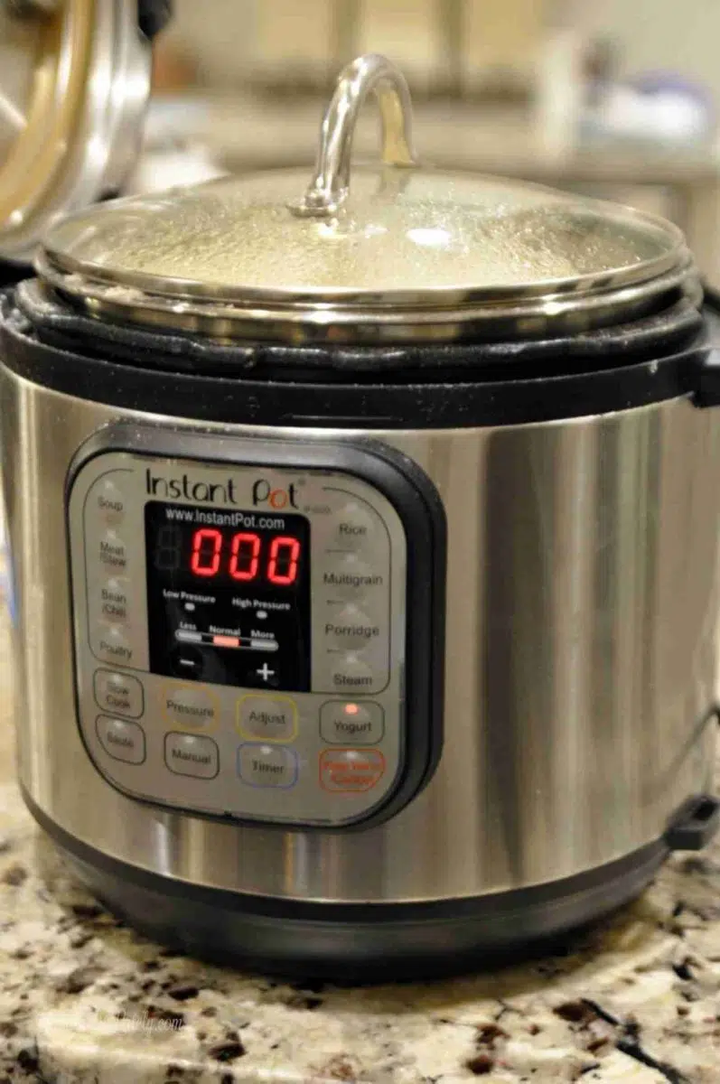 Instant Pot on a counter.