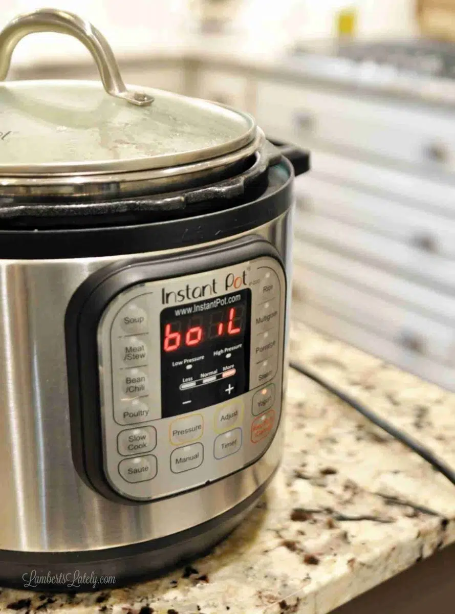 Instant Pot on a counter.