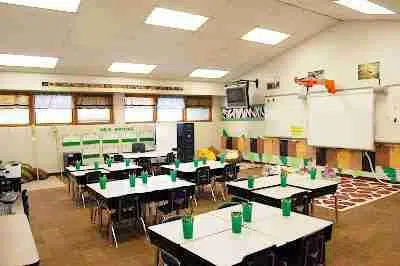 Jungle Theme Classroom