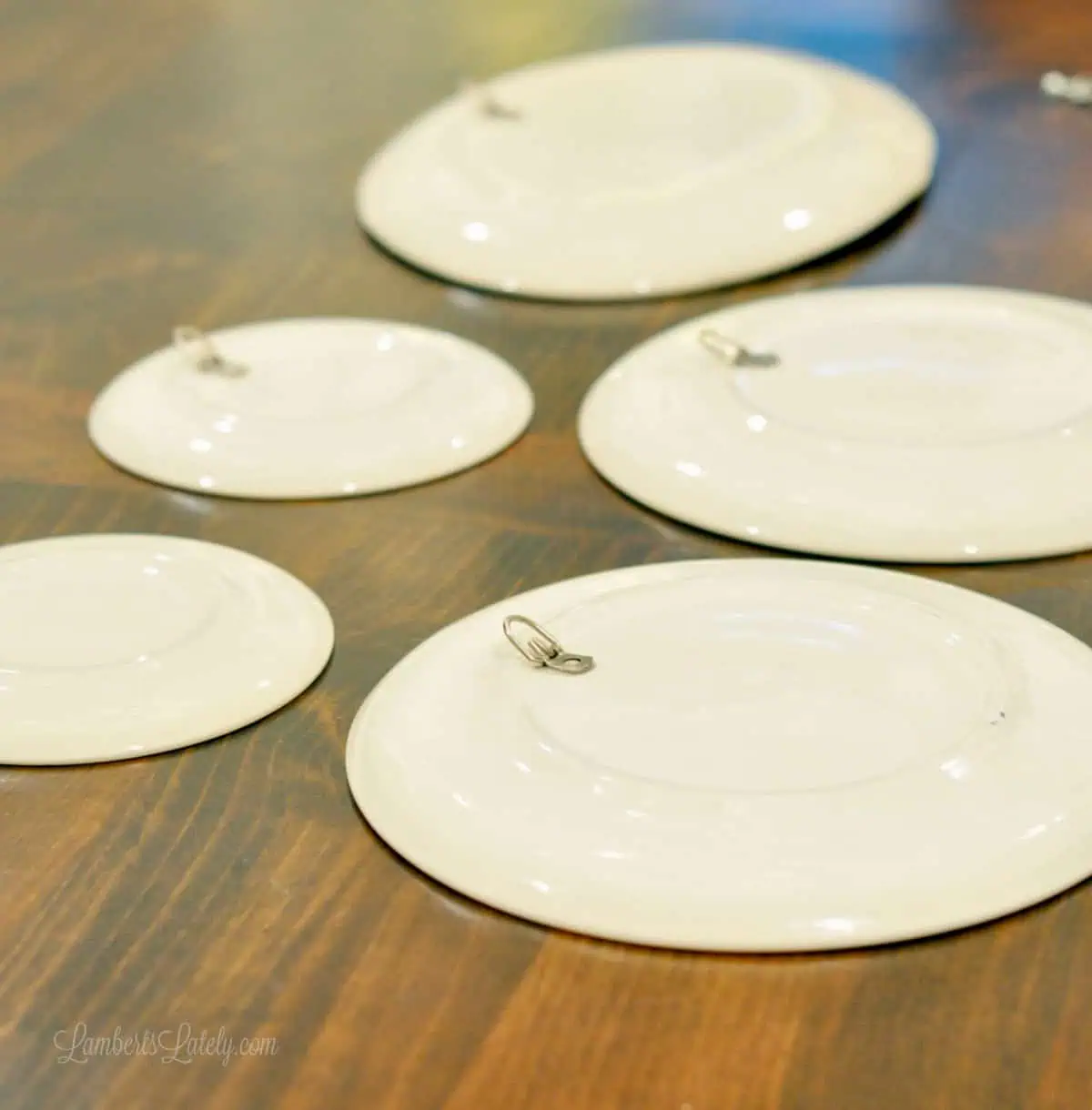 set of plates with D-rings on back, turned over on a table.