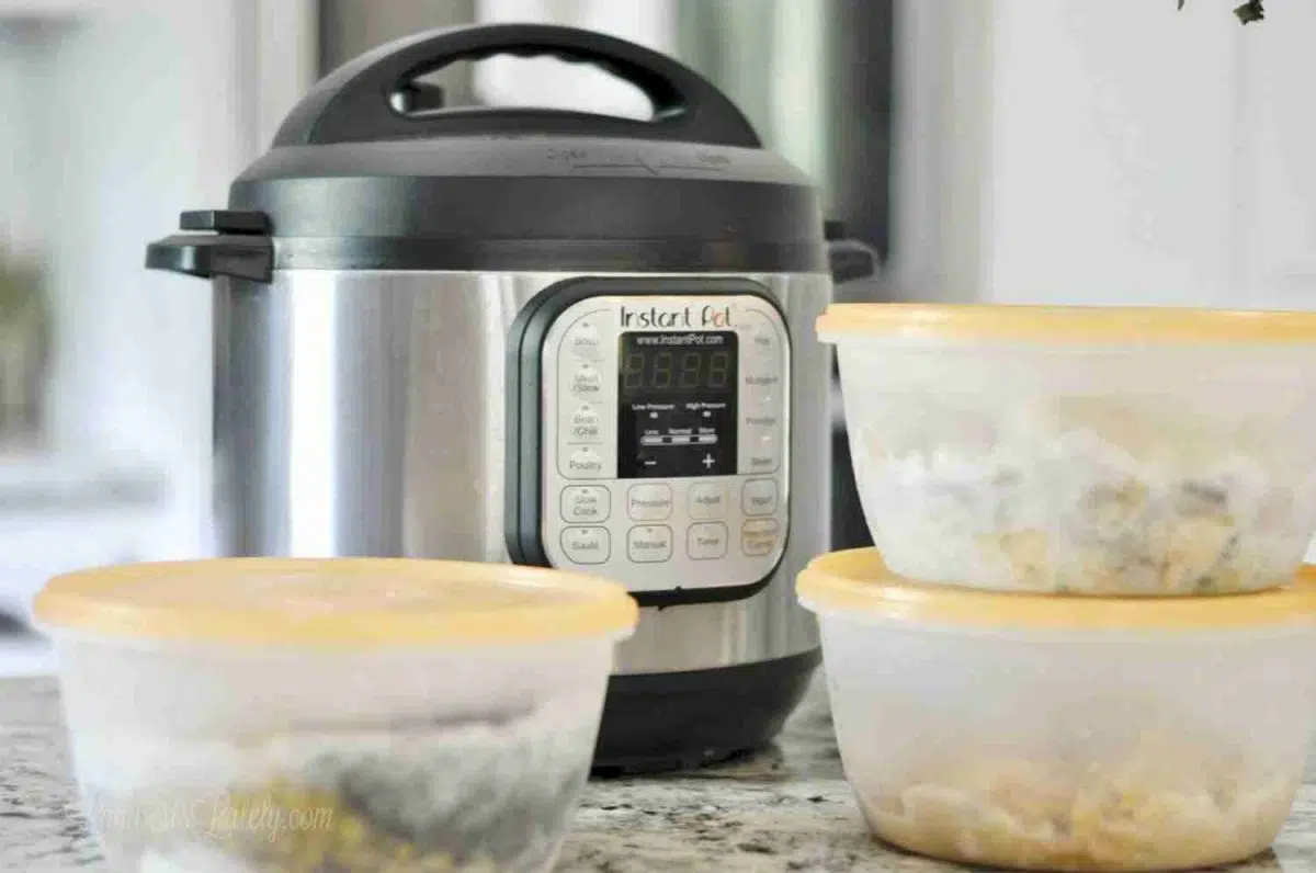 The Best of Instant Pot Freezer Meal Boot Camp