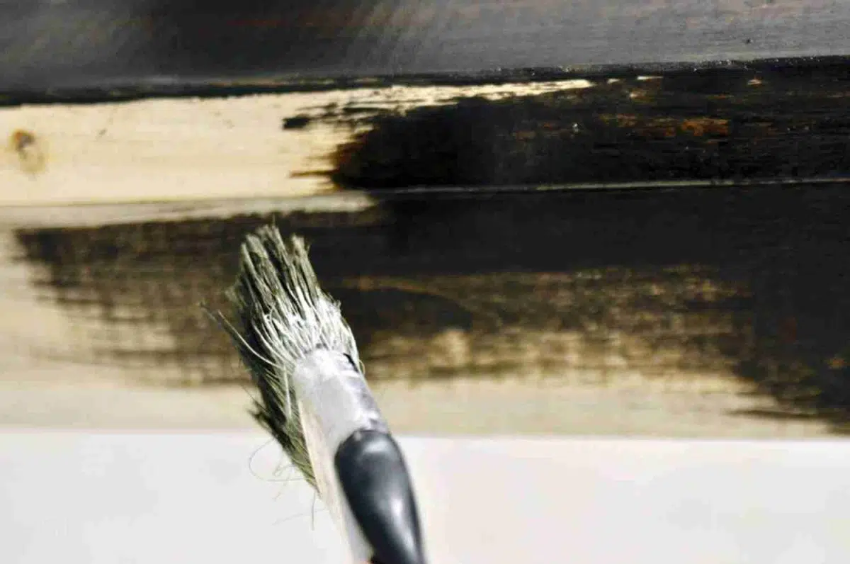 brushing on a half-stained section of wood.