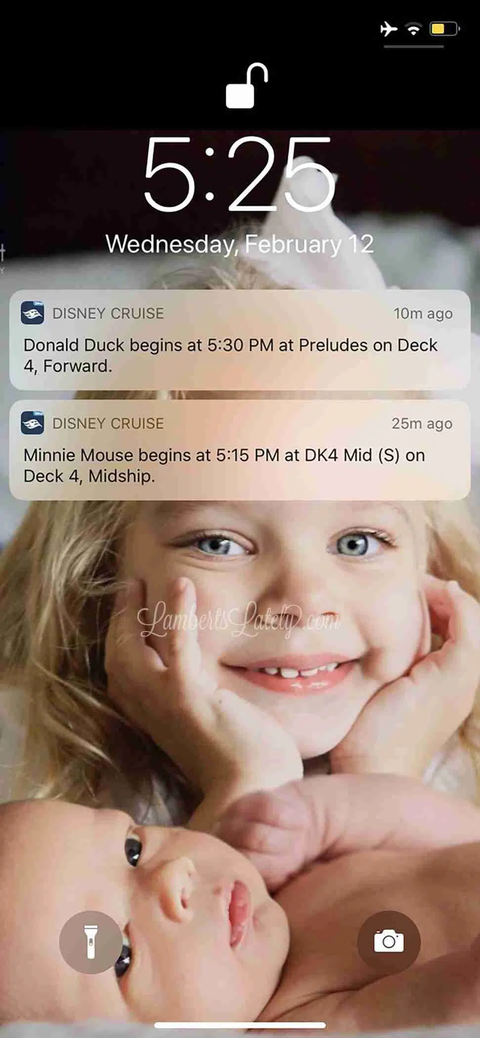 screenshot of disney cruise app notification.
