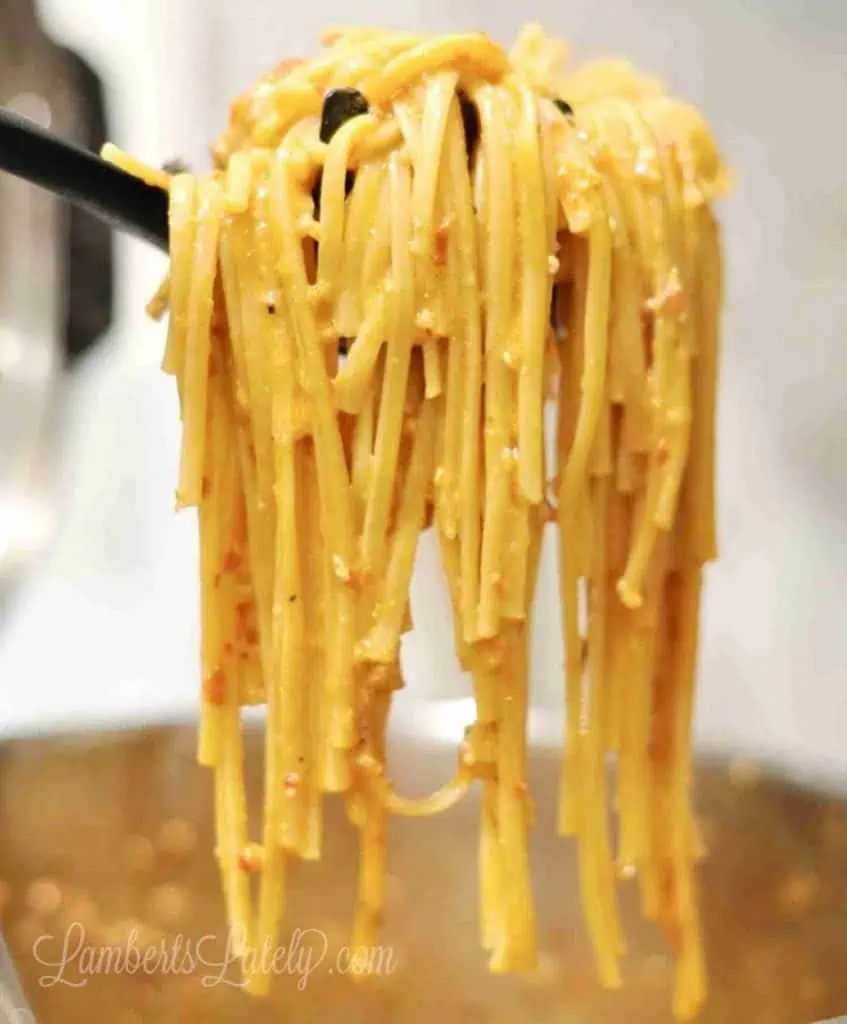 holding pasta in a spoon.