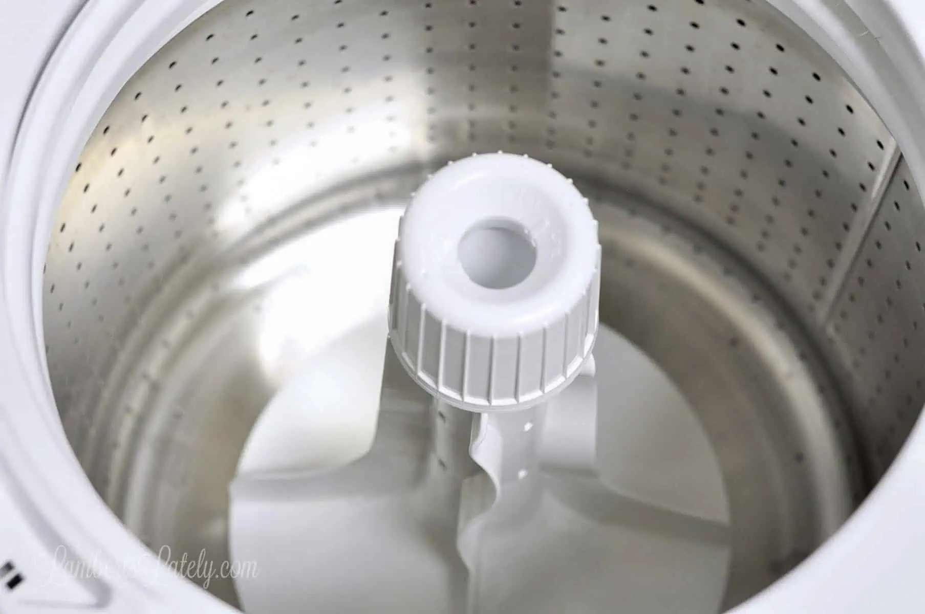 inside the clean drum of a top loading washing machine.