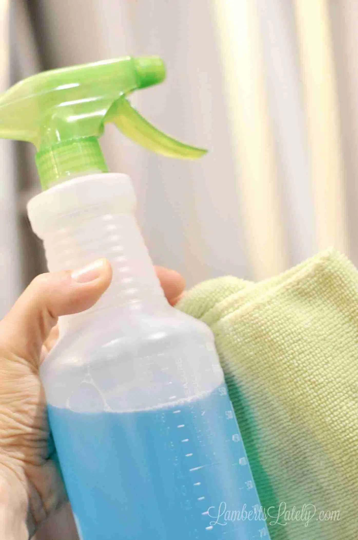 holding a spray bottle of glass cleaner and a microfiber towel