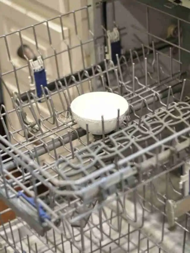 bowl of vinegar in the middle of the dishwasher rack.