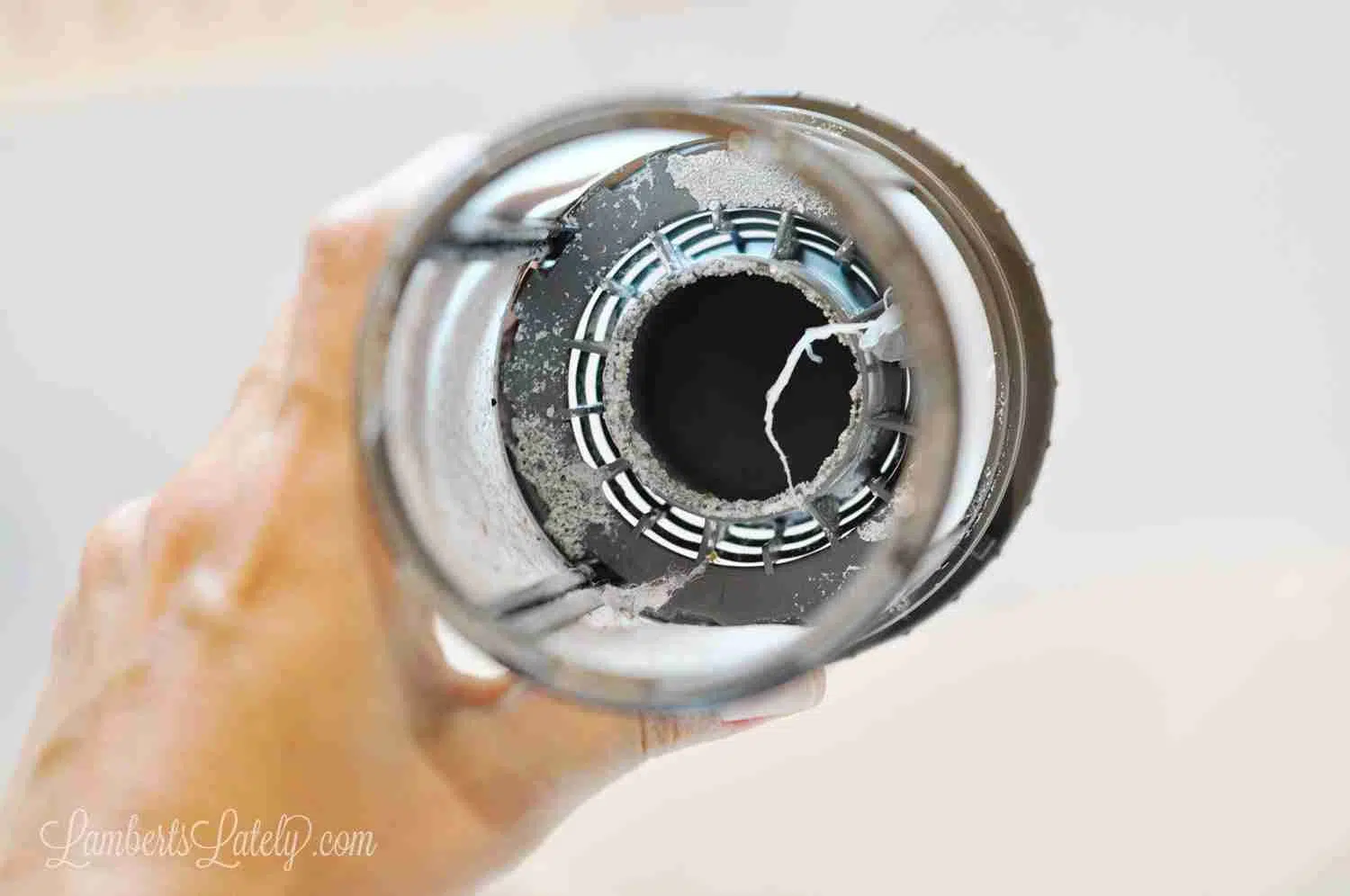 dirty inside of a dishwasher filter