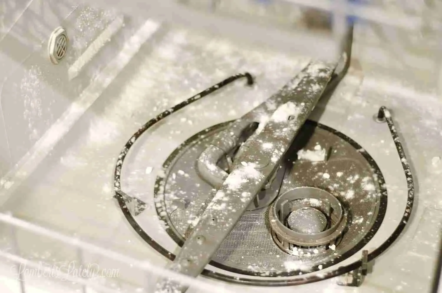 baking soda sprinkled in the bottom of a dishwasher