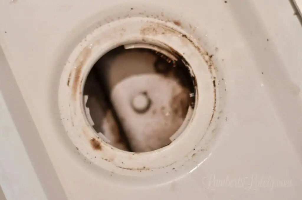 dirty inside of a dishwasher vent