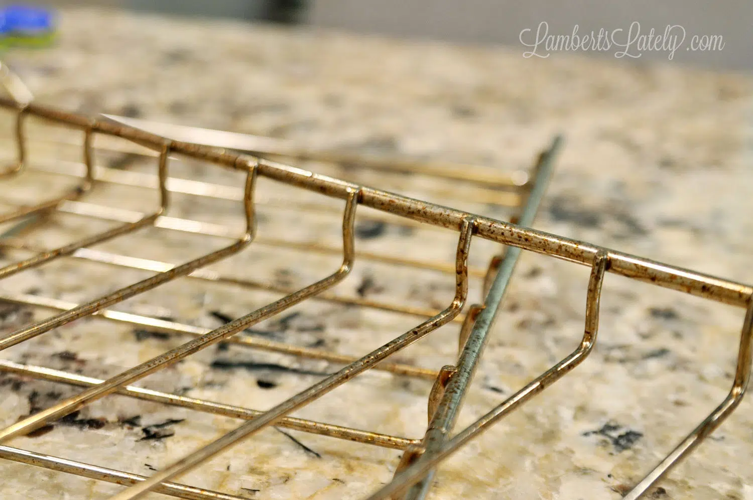 dirty oven racks