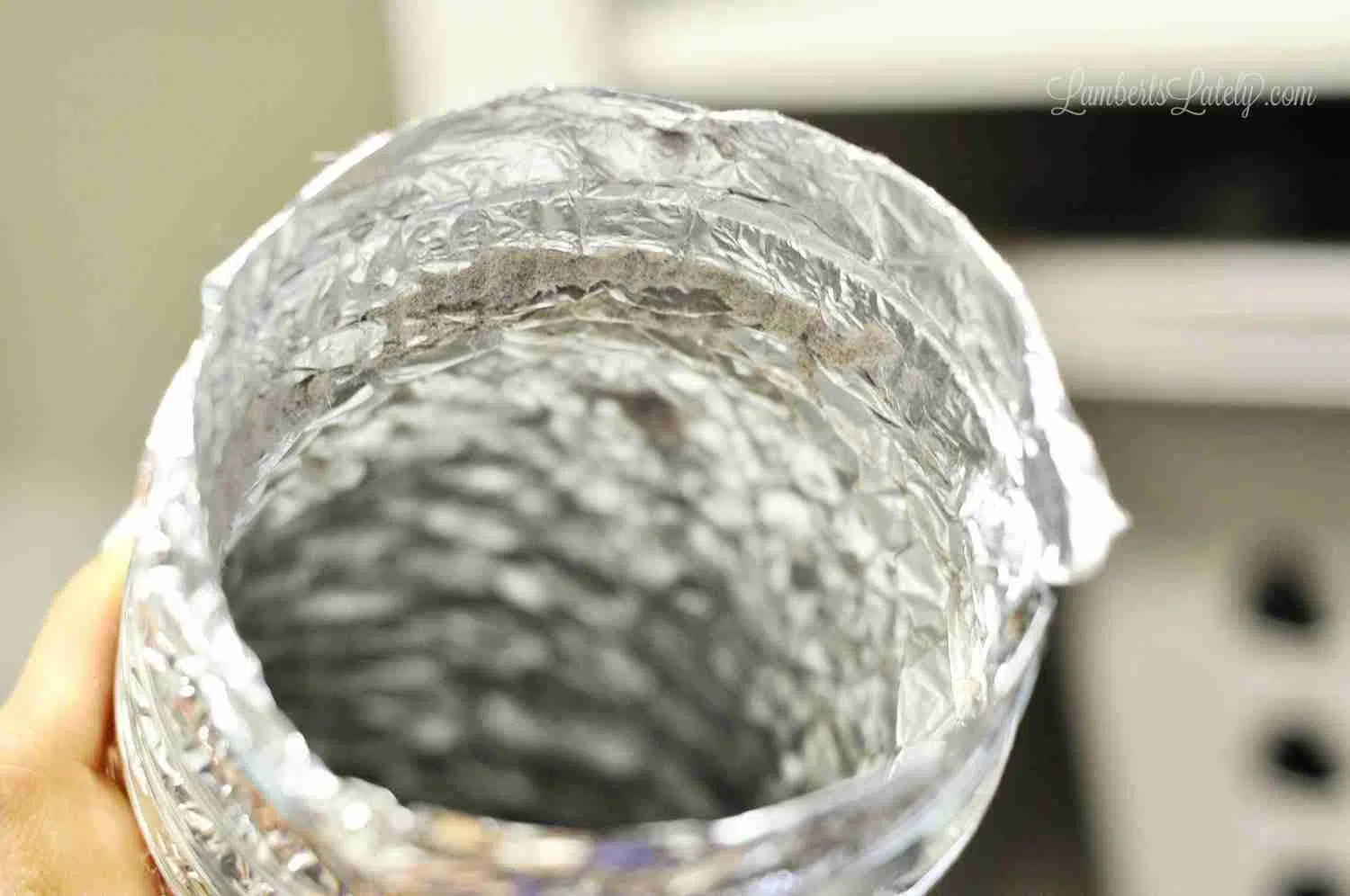 inside of a dryer vent hose